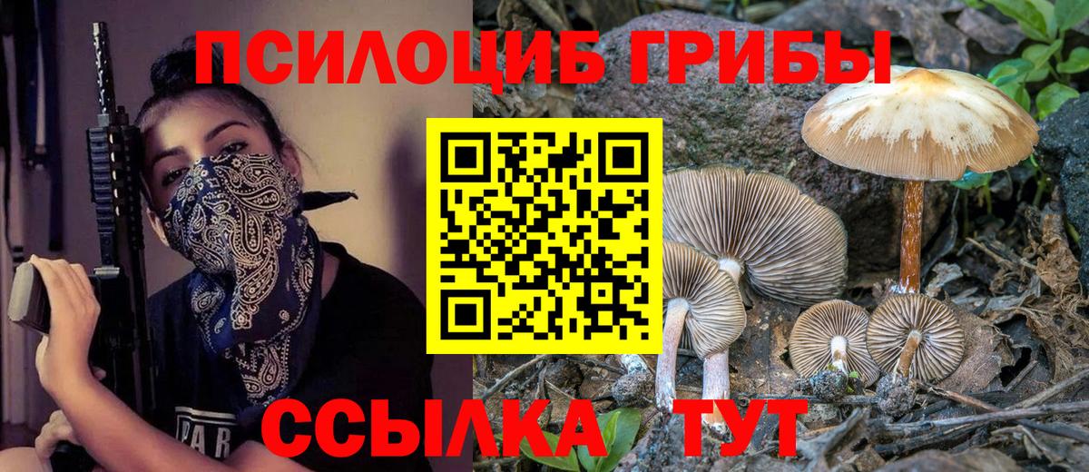 Галлюциногенные грибы Psilocybine cubensis Гагарин
