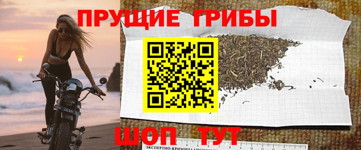 Галлюциногенные грибы Psilocybine cubensis  Вход с VPN  Гагарин  закладка  Псилоцибиновые грибы Psilocybe 